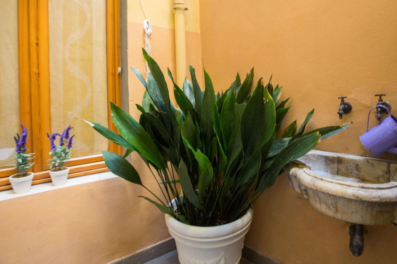 Charming Fiesolana Apartment In Heart Of Флоренция Екстериор снимка